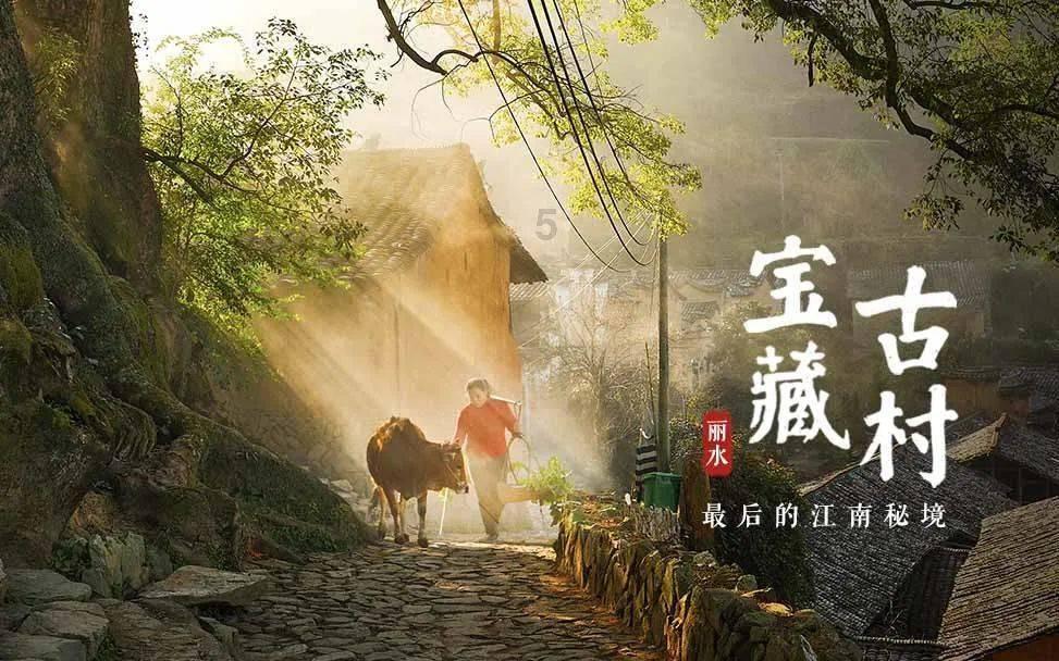 逗小猴开心系列175