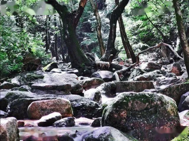 贵阳市生态环境局畅通投诉受理渠道 解决群众身边环境问题