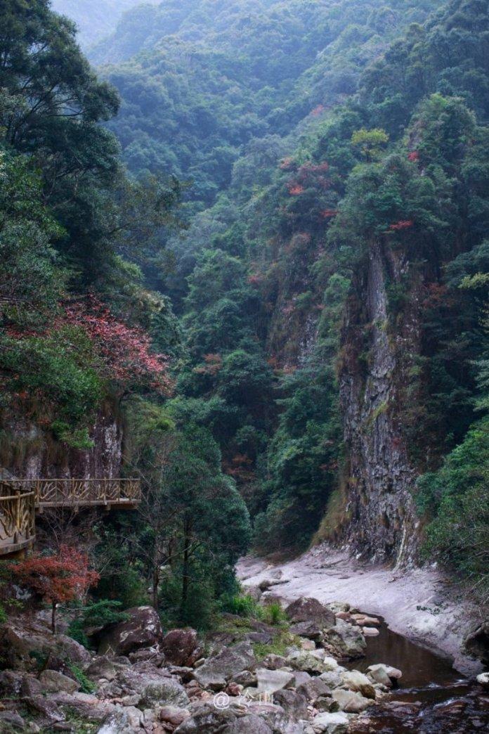 就是我老家给交了医疗保险,现在单位又给交社保可以吗?-知识星球-专业知识分享交流社区